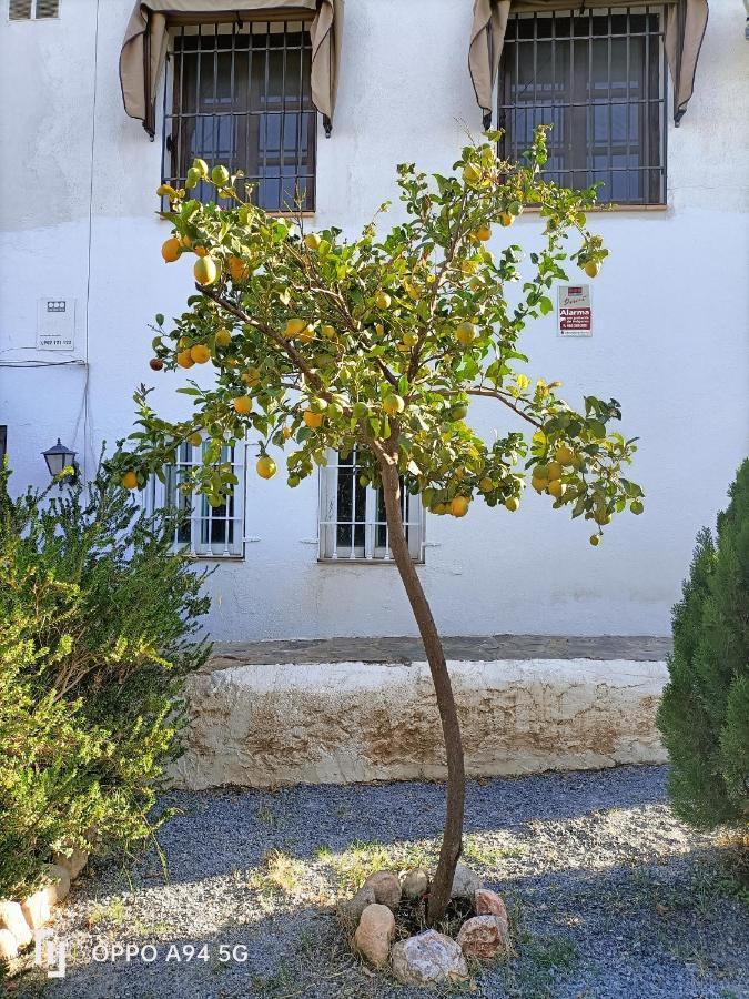 Morente Suena La Alhambra Apartamento